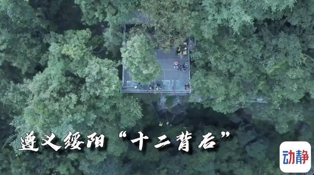 唯一的幸存者