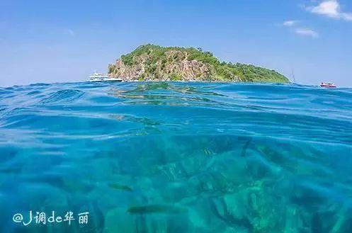 首辆丰田“世极”落户上海