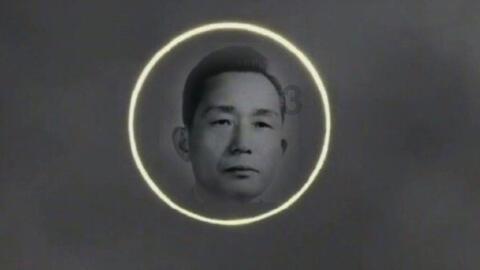 创作猫